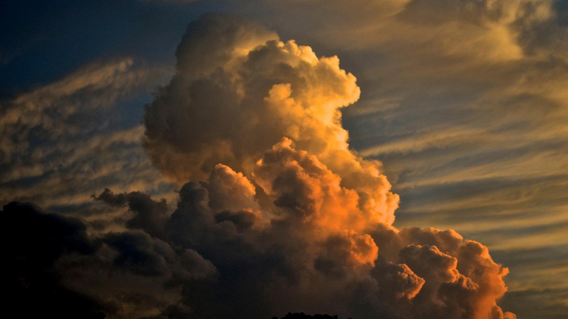 Царство муссонов (tsarstvo-mussonov) Документальный сериал