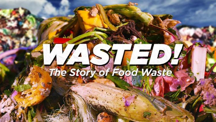 Постер Wasted! The Story of Food Waste