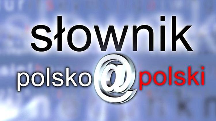 Постер Słownik polsko@polski