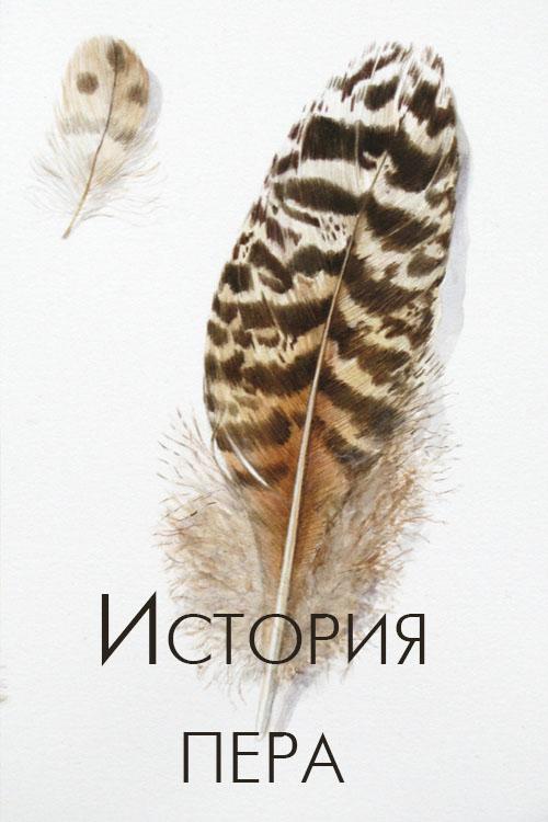 История пера (istorija-pera) Фильм 2012