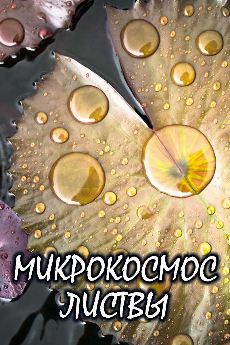 Микрокосмос листвы (mikrokosmos-listvy) Документальный фильм