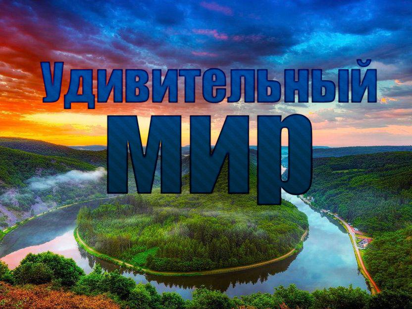 Удивительный мир (udivitelnyj-mir) Документальный сериал