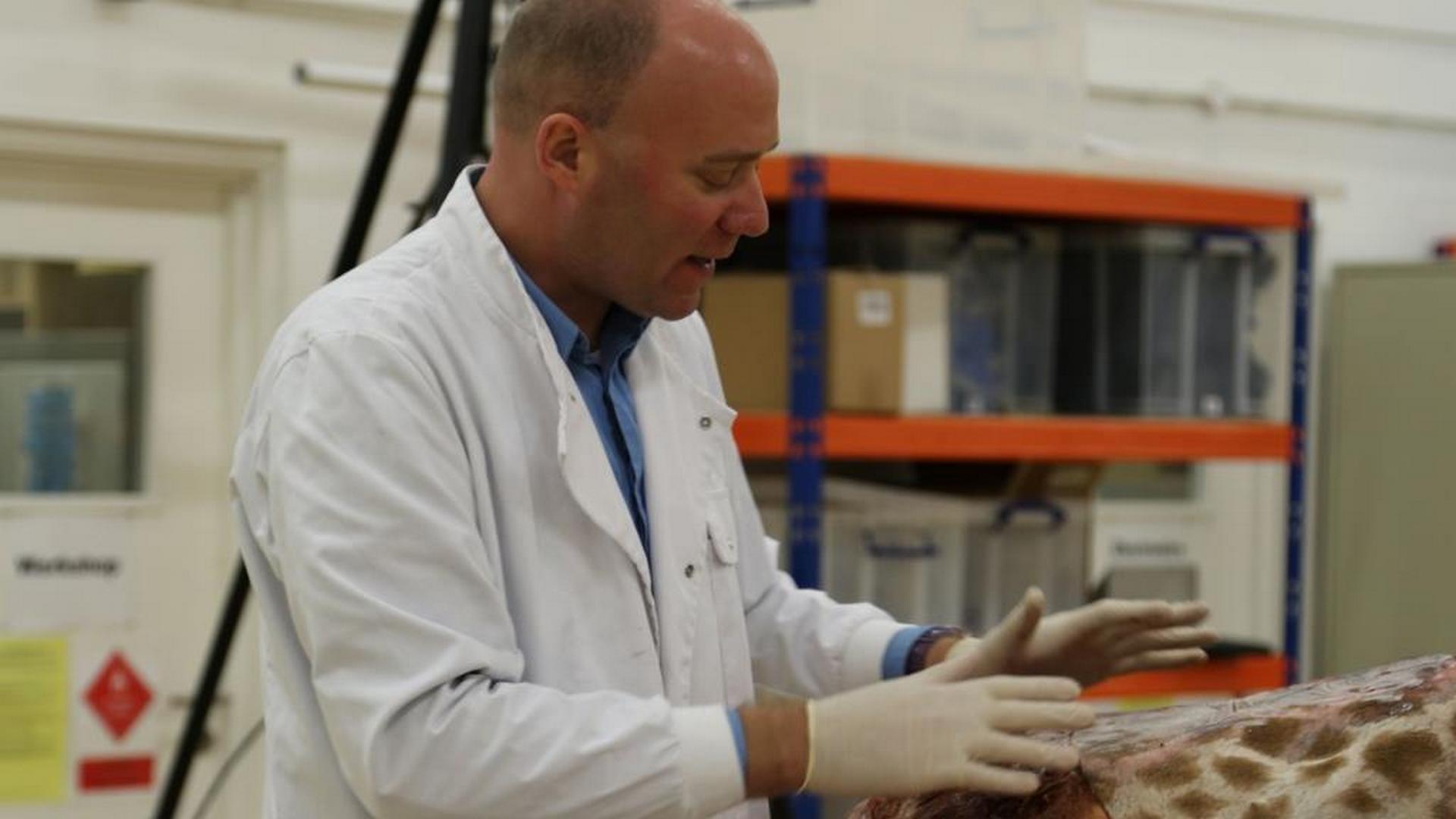 Шокирующая природа (shokirujuschaja-priroda) Документальный сериал