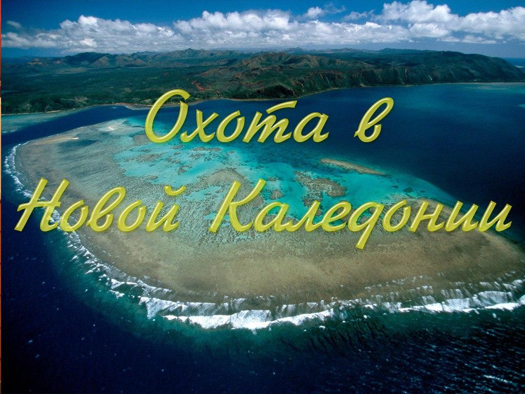 Охота в Новой Каледонии (ohota-v-novoj-kaledonii) Документальный фильм