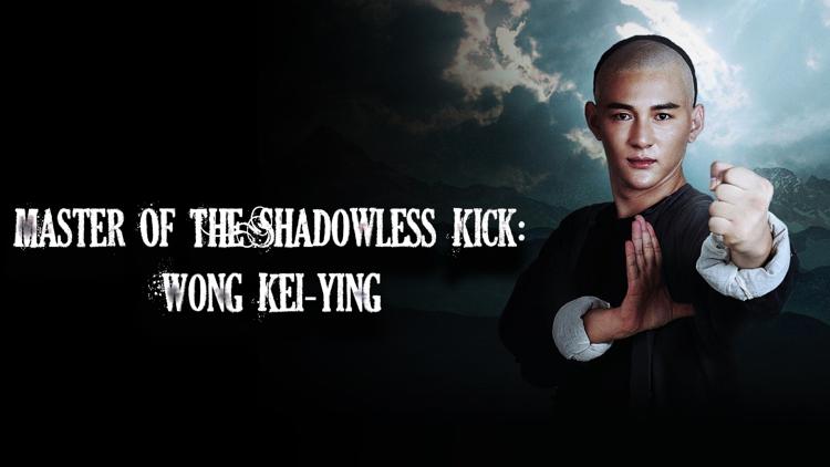 Постер Master Of The Shadowless Kick: Wong Kei-ying