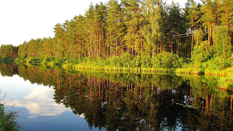 Постер Roztoczański Park Narodowy