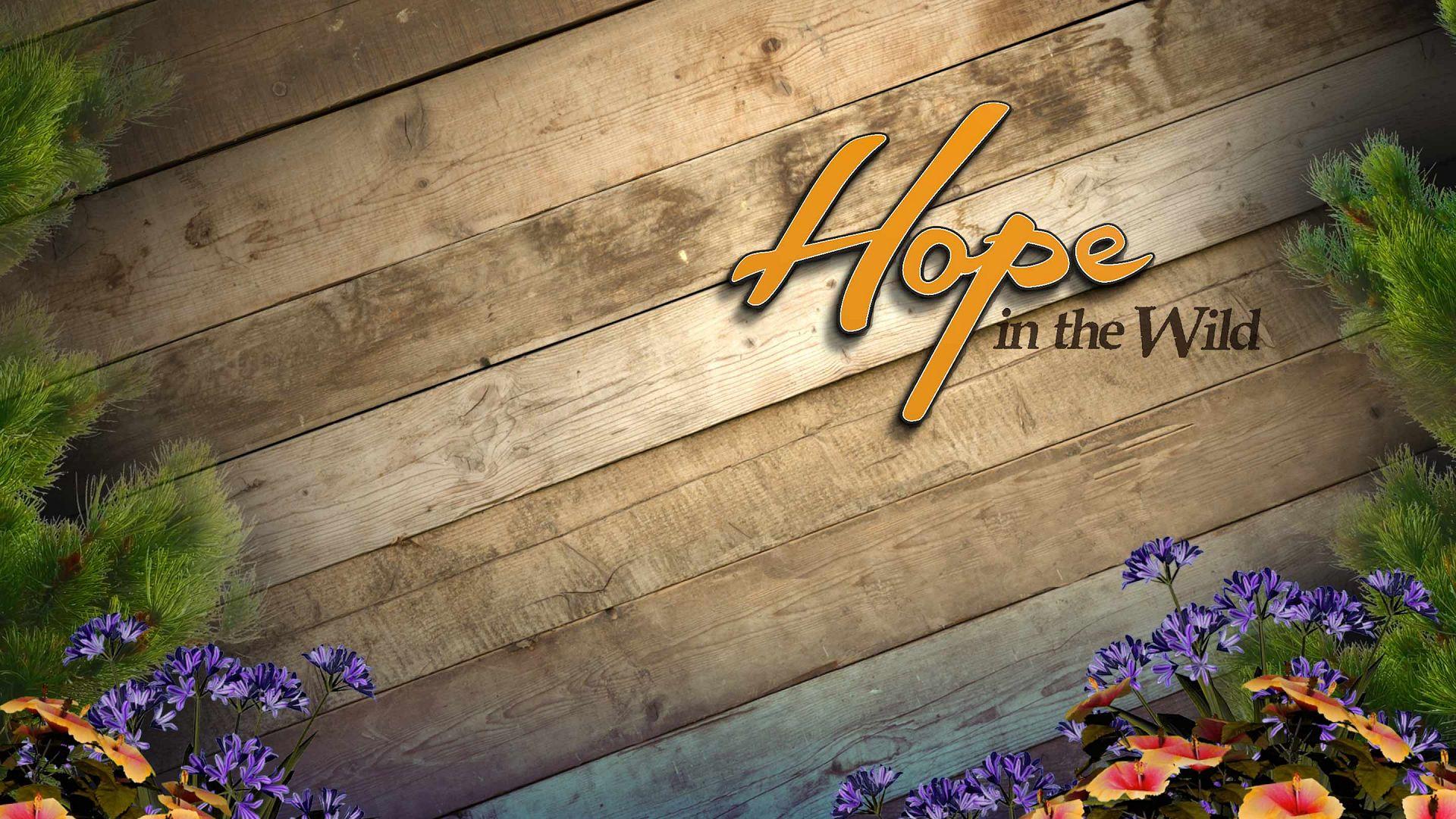 Hope in the Wild (hope-in-the-wild) Документальный сериал