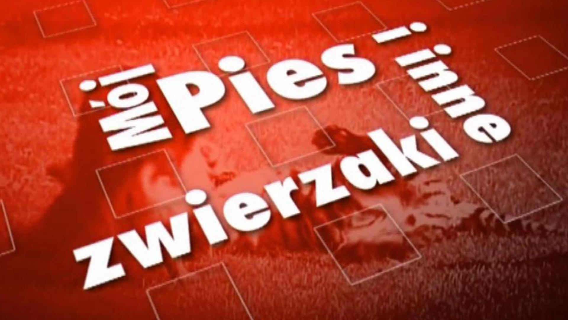 Mój pies i inne zwierzaki (mj-pies-i-inne-zwierzaki) Познавательное