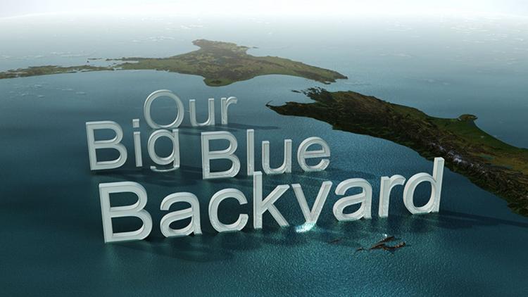 Постер Our Big Blue Backyard