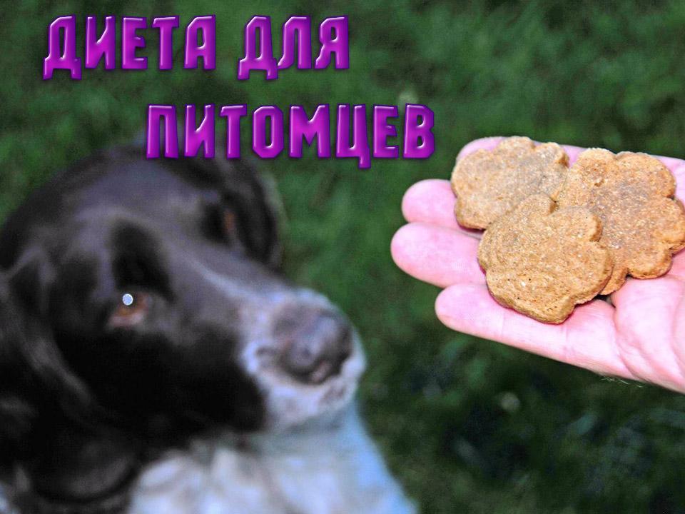 Диета для питомцев (dieta-dlja-pitomtsev) Документальный сериал