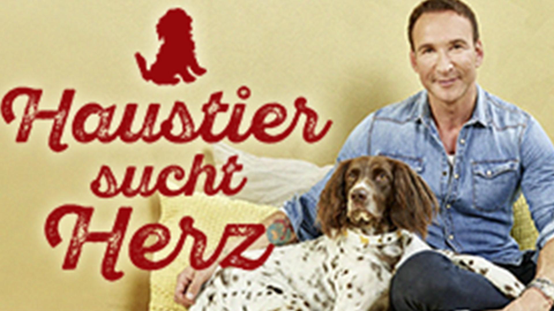 Haustier sucht Herz (haustier-sucht-herz) Документальный сериал