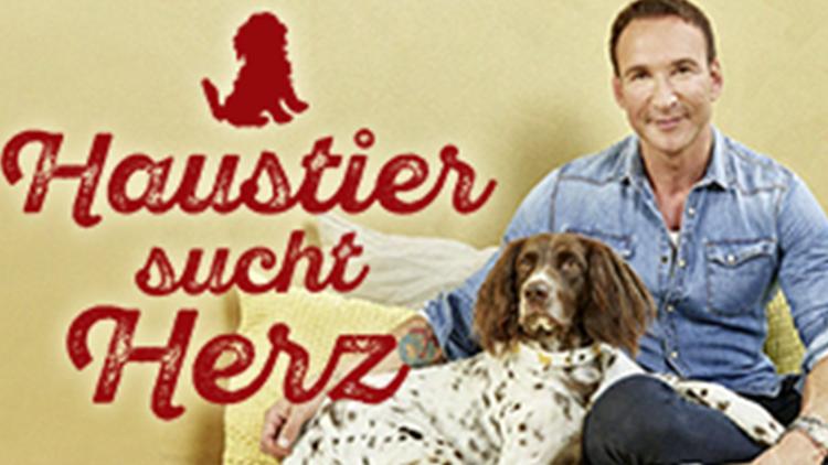 Постер Haustier sucht Herz