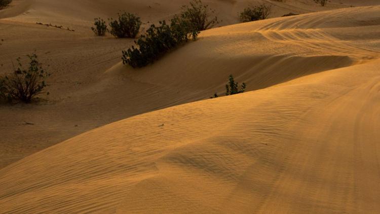 Постер Namib-Zauber der Wüste