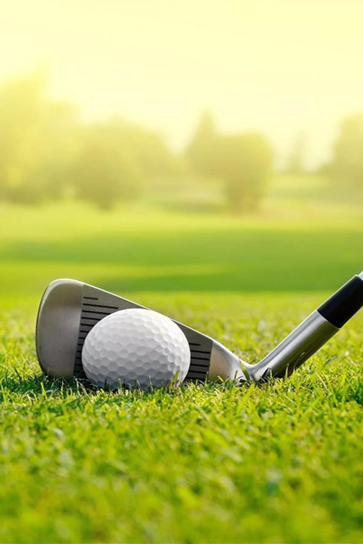 Гольф. Журнал Европейского тура (golf-zhurnal-evropejskogo-tura) Досуг, хобби