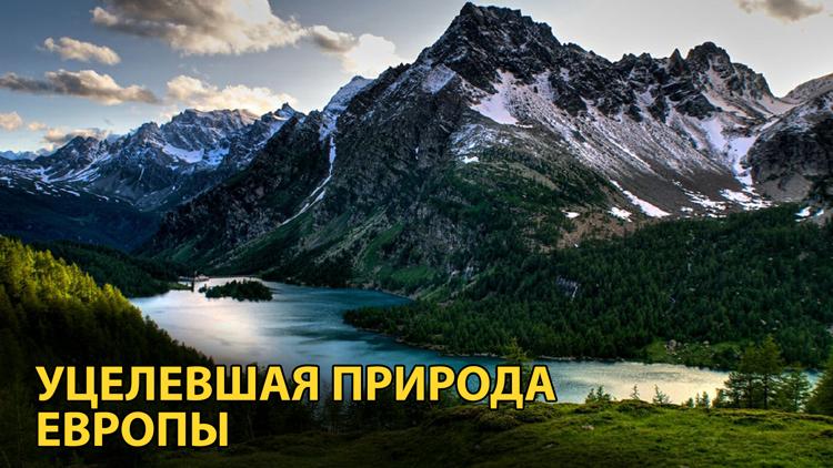 Постер Уцелевшая природа Европы