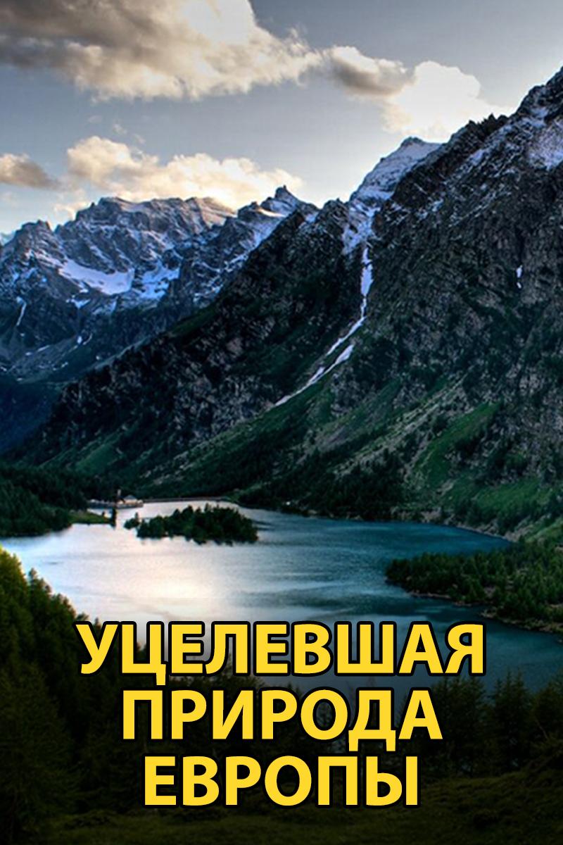 Уцелевшая природа Европы (utselevshaja-priroda-evropy) Документальный фильм