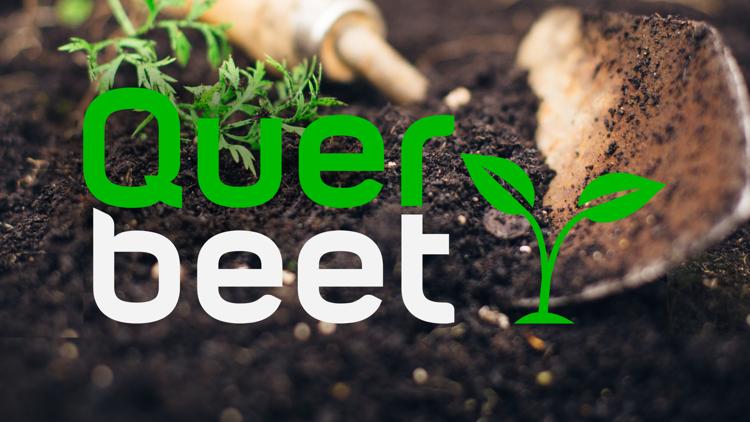 Постер Querbeet