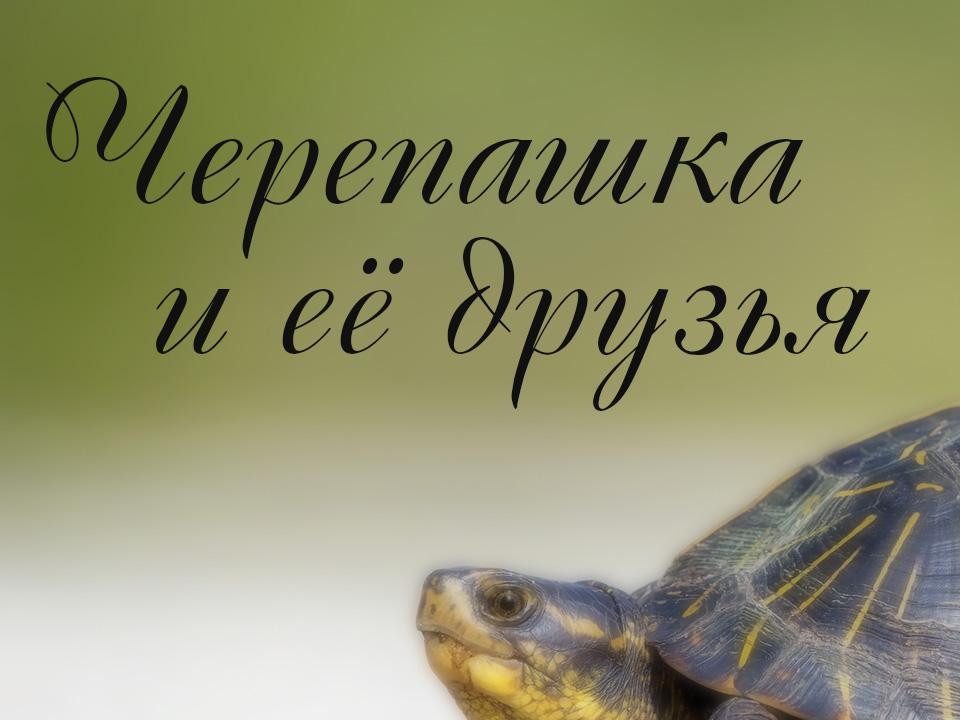 Черепашка и её друзья (cherepashka-i-ee-druzja) Документальный фильм