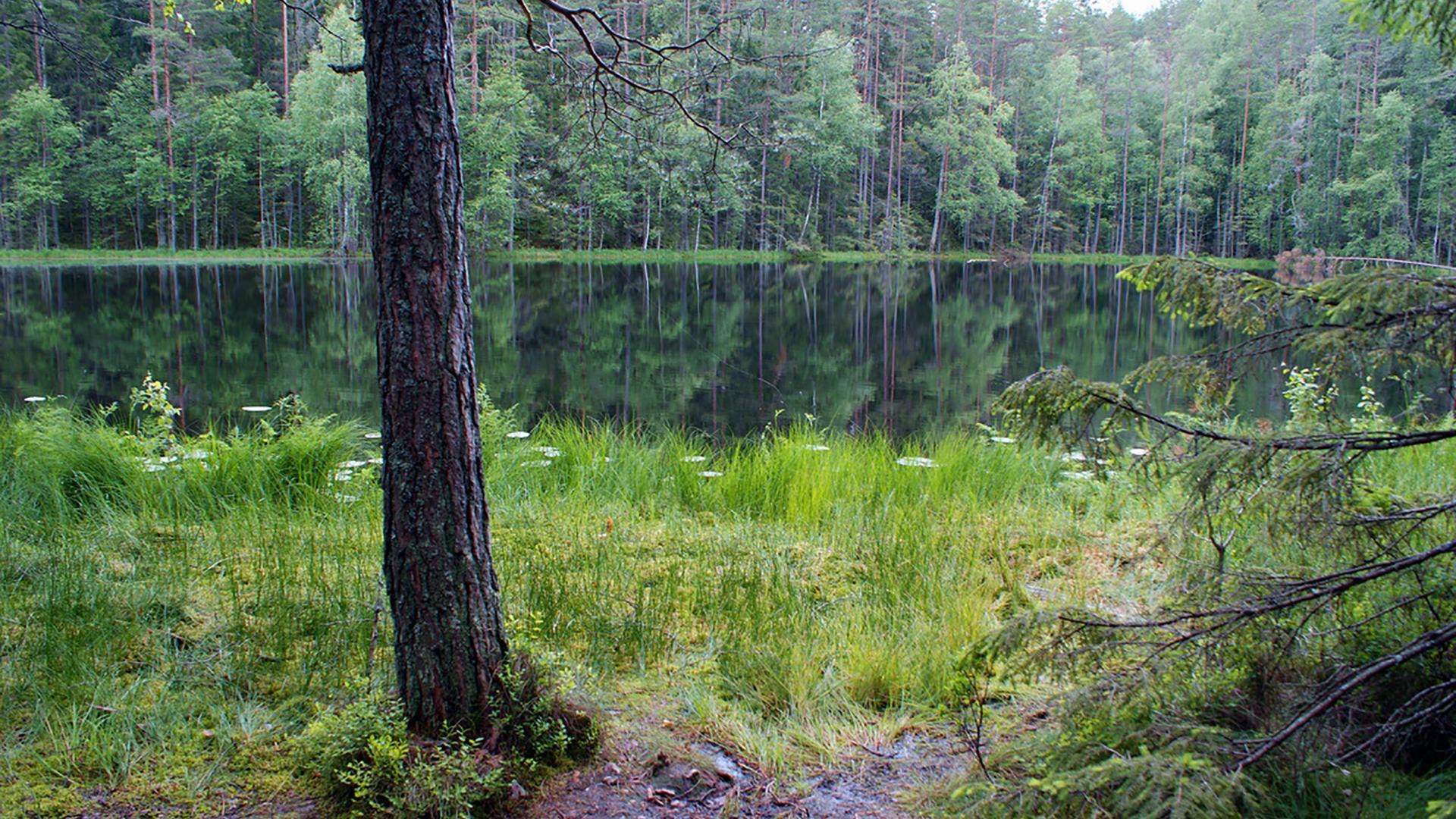 Pa Latvijas dabas takām (pa-latvijas-dabas-takm) Досуг, хобби