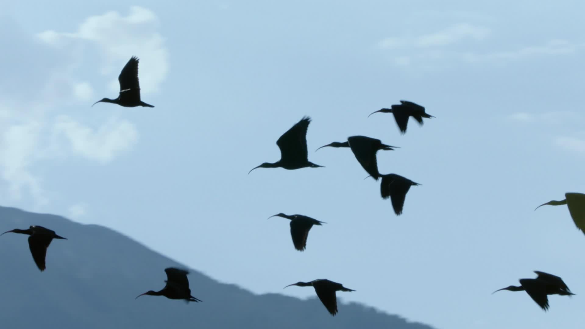 Репортаж Геолино (reportazh-geolino) Документальный сериал