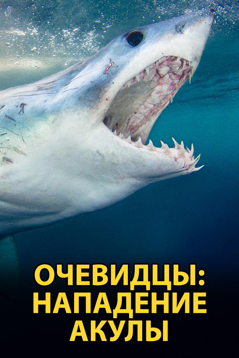 Очевидцы: нападение акулы (ochevidtsy-napadenie-akuly) Документальный сериал