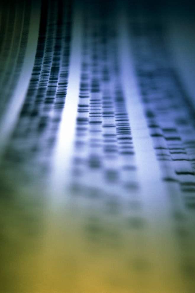 Das Schicksal in unseren Genen: Was wollen wir über uns wissen? (das-schicksal-in-unseren-genen-was-wollen-wir-ber-uns-wissen) Документальный фильм