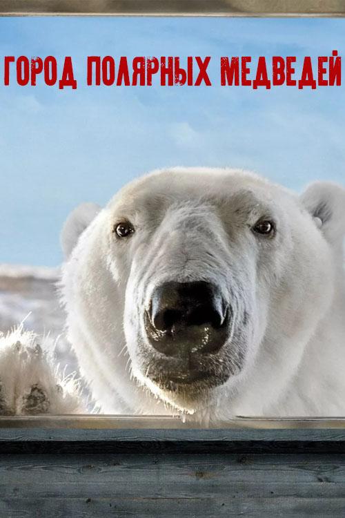 Город полярных медведей (gorod-poljarnyh-medvedej) Документальный сериал