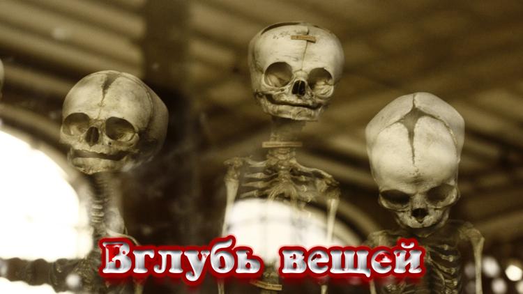 Постер Вглубь вещей