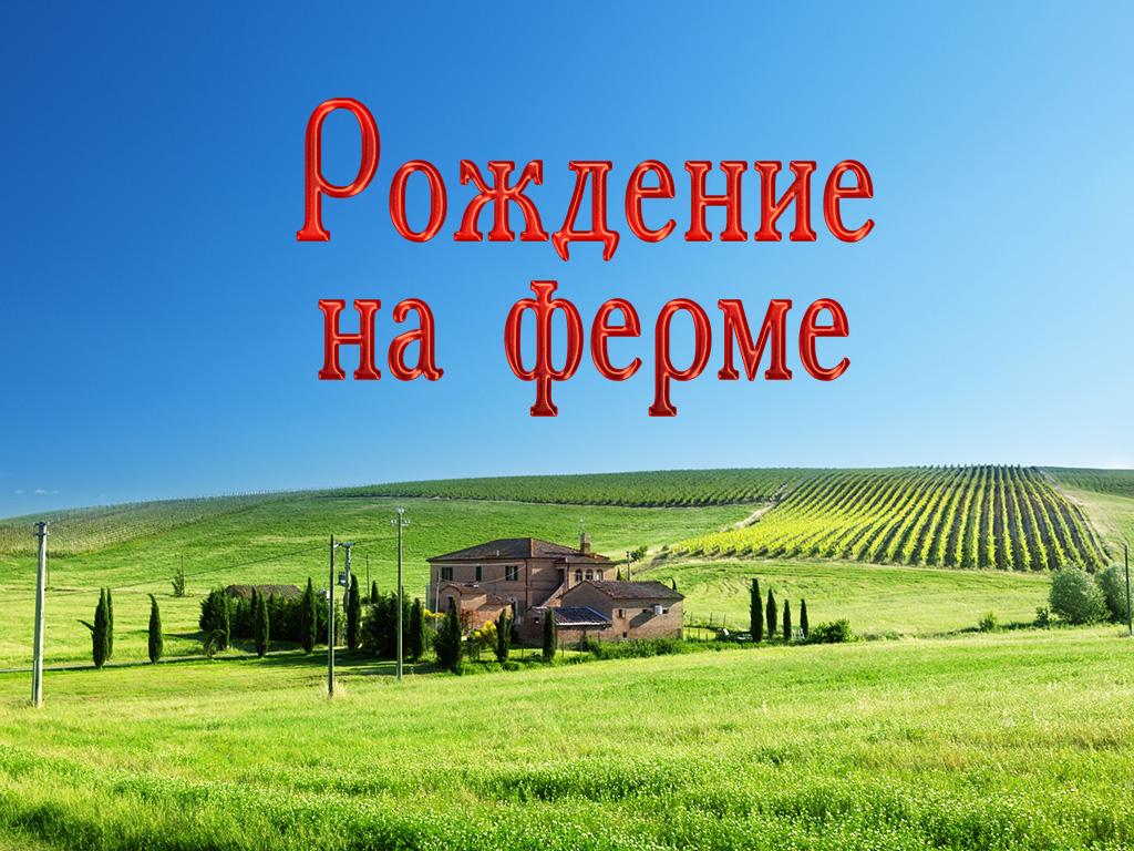 Роды на ферме (rody-na-ferme) Документальный фильм