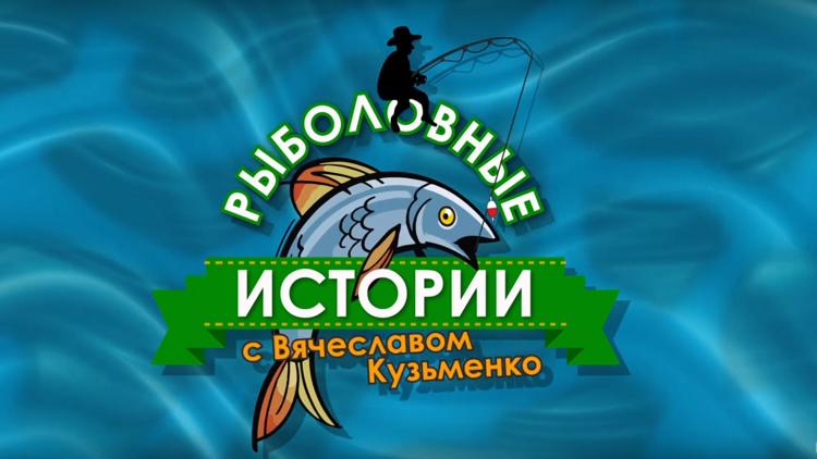 Постер Рыболовные истории с Вячеславом Кузьменко