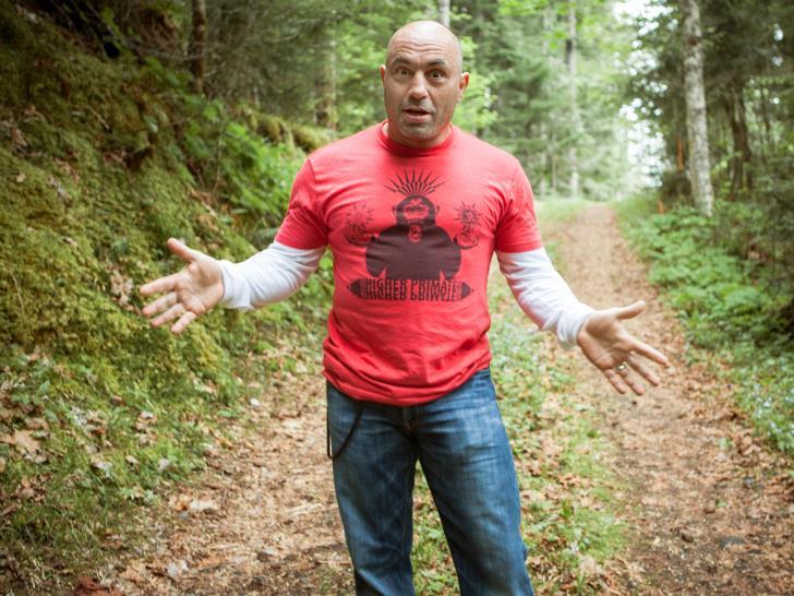 Джо Роган: вопросы обо всём (dzho-rogan-voprosy-obo-vsem) Познавательное