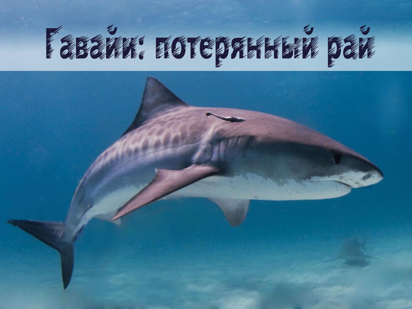 Гавайи: потерянный рай (gavaji-poterjannyj-raj) Познавательное