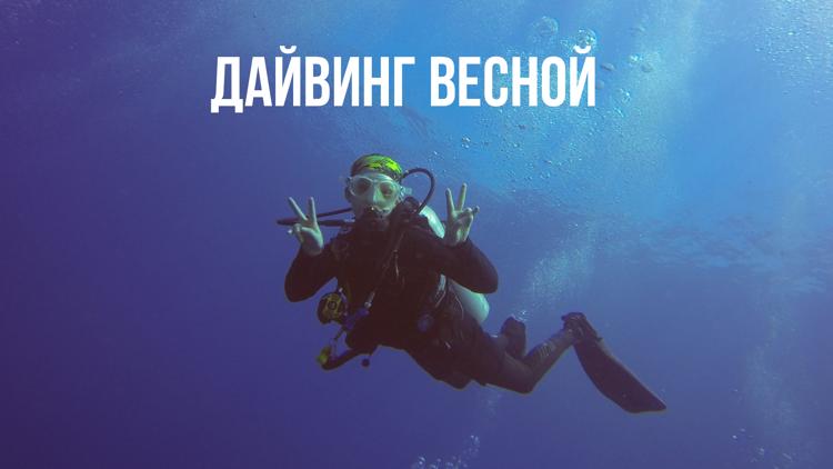 Постер Дайвинг весной