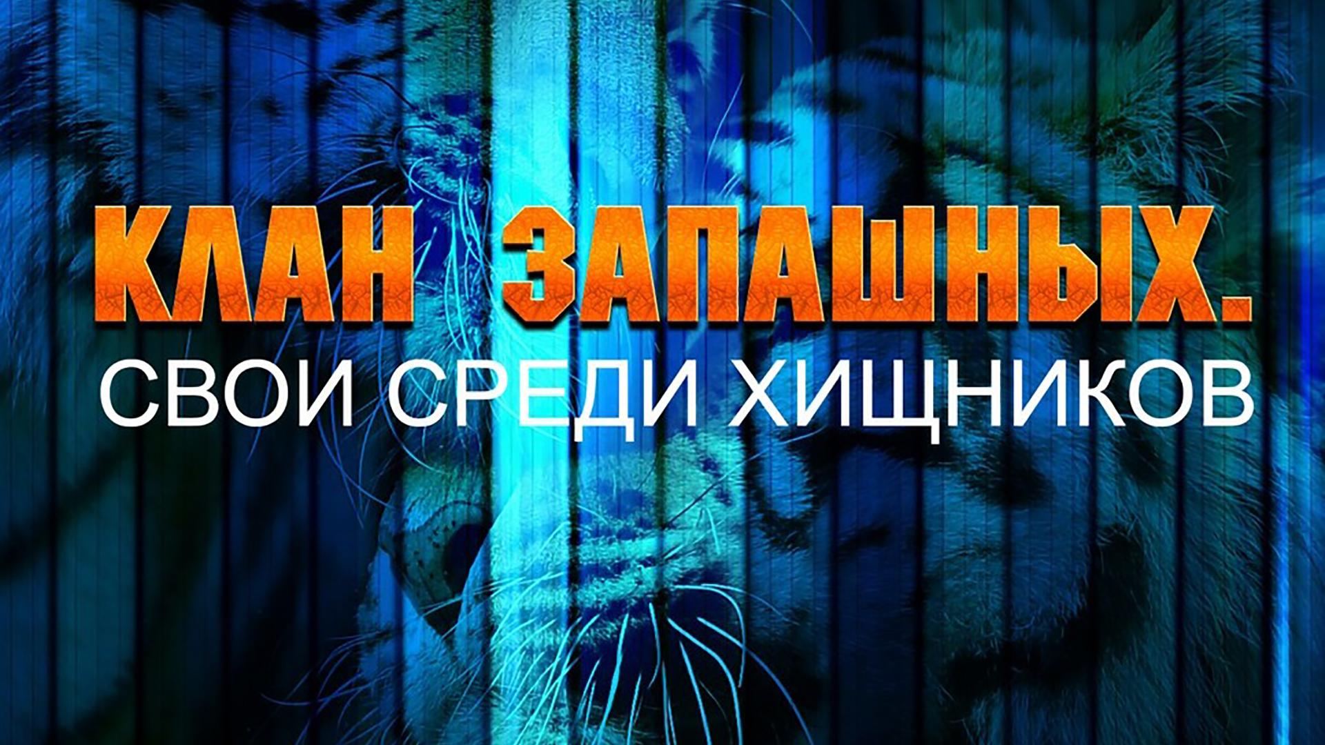Клан Запашных. Свои среди хищников (klan-zapashnyh-svoi-sredi-hischnikov) Документальный фильм