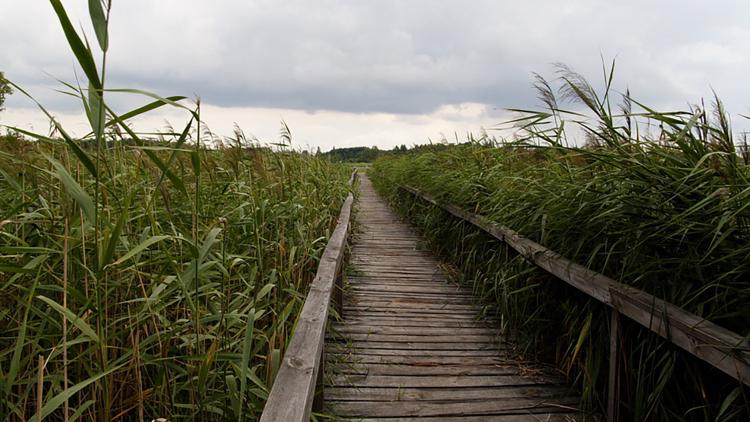 Постер Poleski Park Narodowy