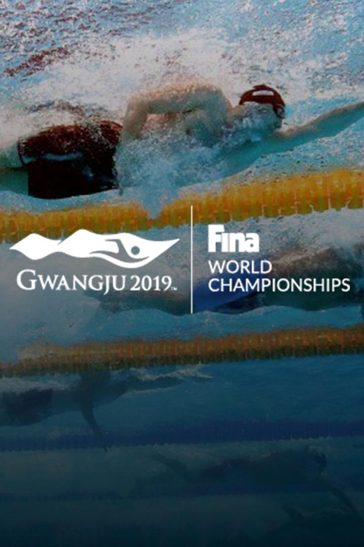 Чемпионат мира по водным видам спорта. Календарь побед (chempionat-mira-po-vodnym-vidam-sporta-kalendar-pobed) Досуг, хобби