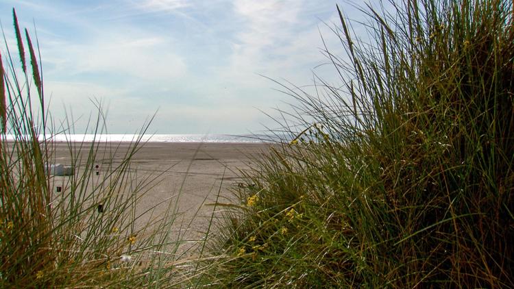 Постер Königliche Gärten an der Nordsee