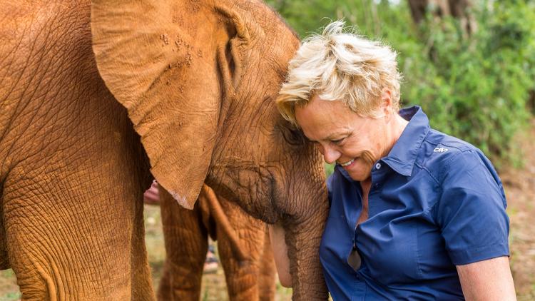 Постер Le messager : Muriel Robin et Chanee sur la terre des éléphants