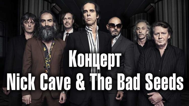 Постер Концерт Nick Cave & The Bad Seeds