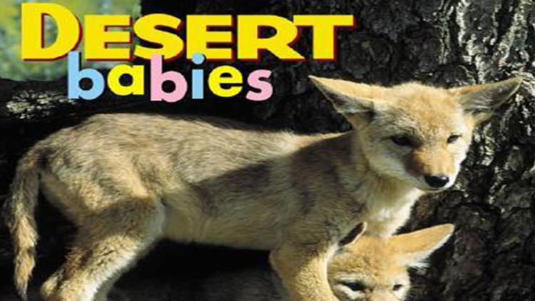 Постер Desert Babies