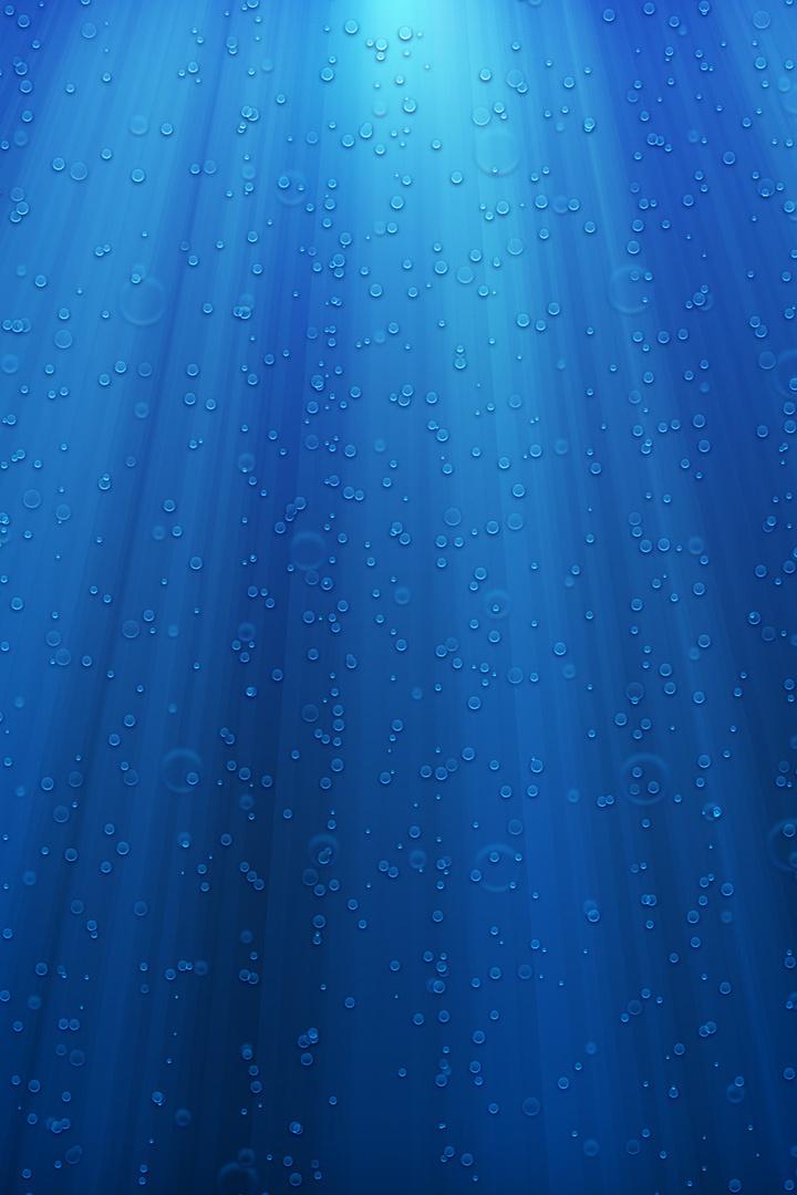 Rycerze uśpionego miasta (rycerze-upionego-miasta) ТВ-шоу