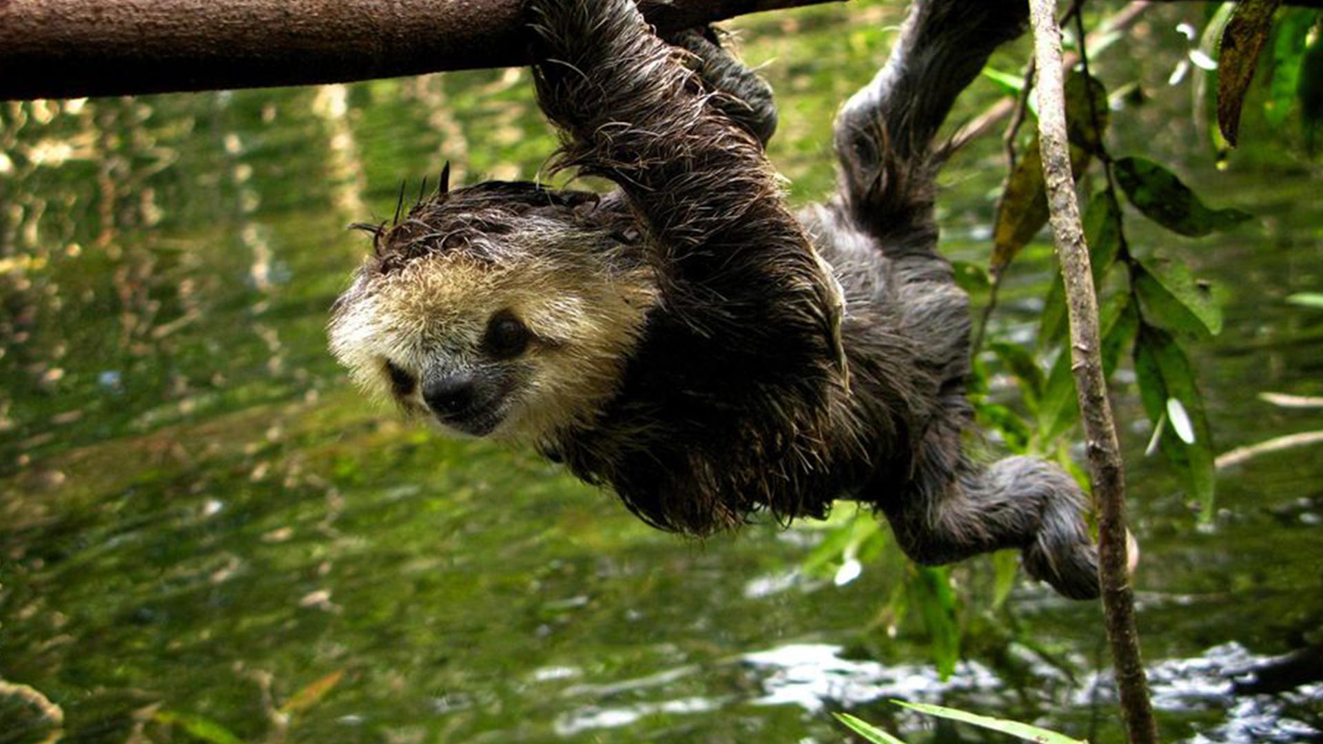 Wasserwelten (wasserwelten) Документальный сериал