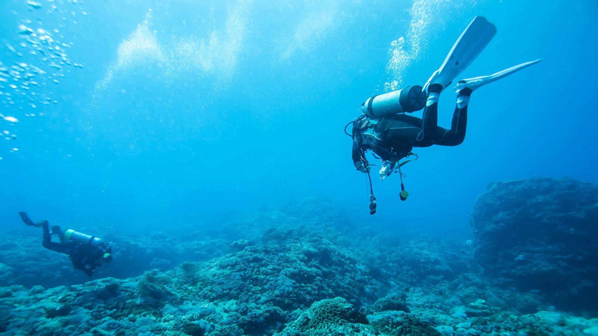 Укротитель волн (ukrotitel-voln) Досуг, хобби