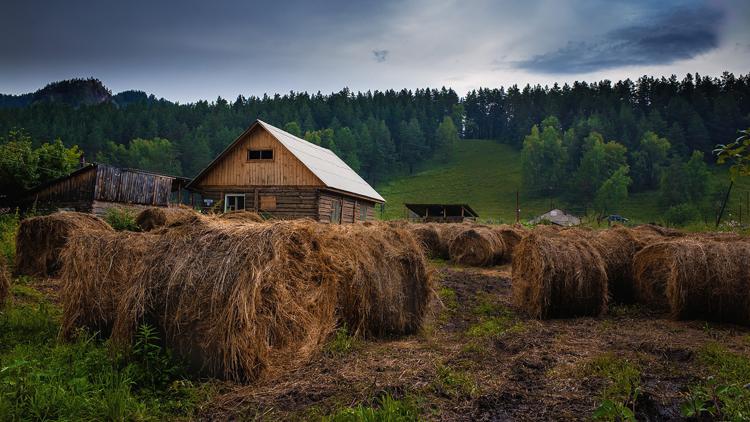 Постер Будни села