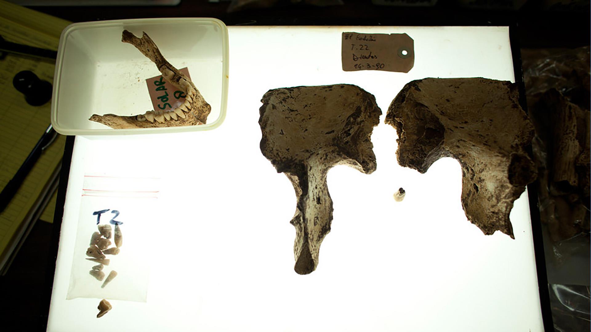 Пропавшая колония Колумба (propavshaja-kolonija-kolumba) Документальный фильм