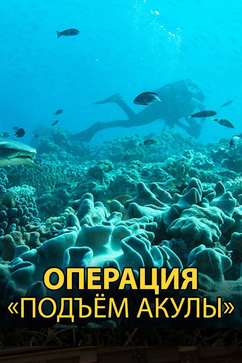 Операция «Подъём акулы» (operatsija-podem-akuly) Документальный фильм