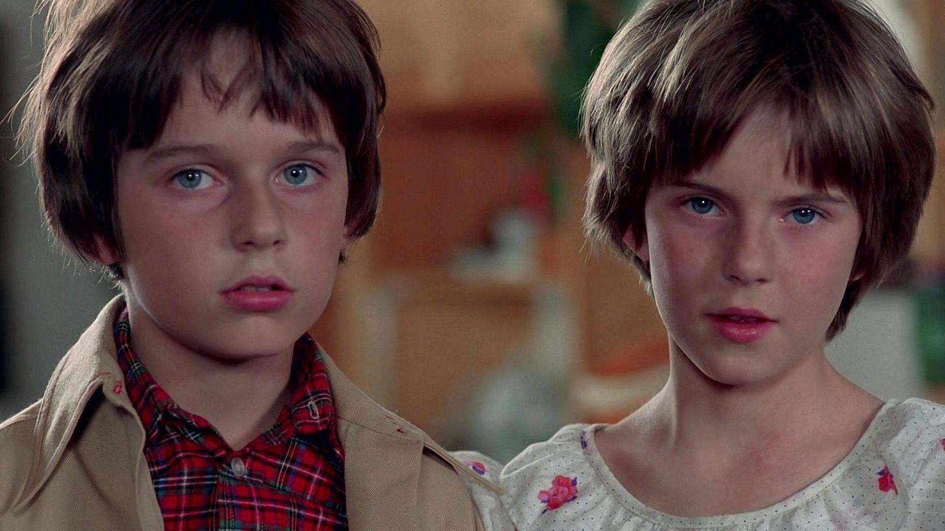 Проделки близнецов (prodelki-bliznetsov) Сериал 1978