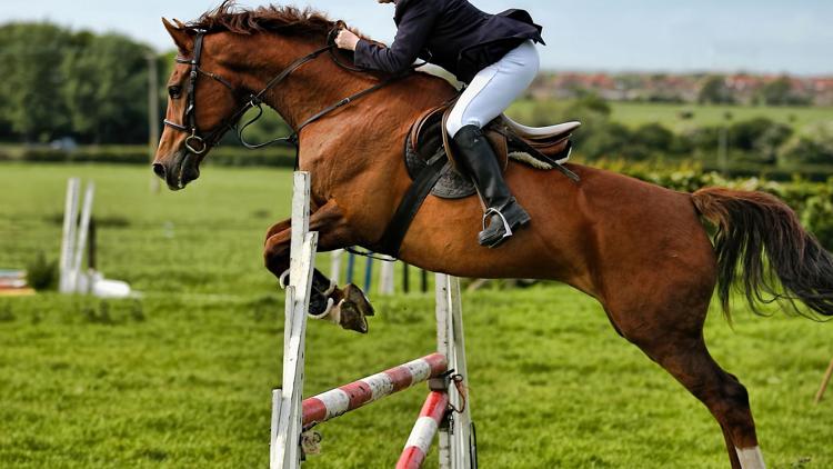 Постер Конный спорт. Rolex Grand Slam