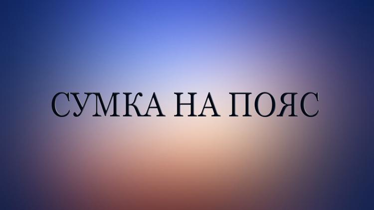 Постер Сумка на пояс