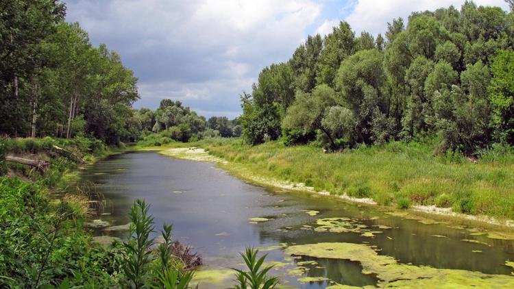 Постер Geschützte Wildnis – Leben im Nationalpark Donau-Auen